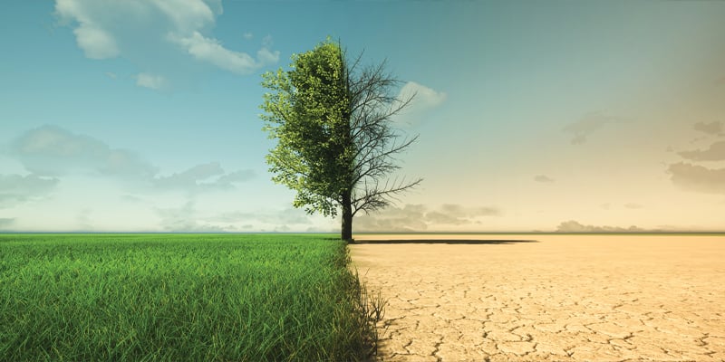 Can Technology Reverse Climate Change