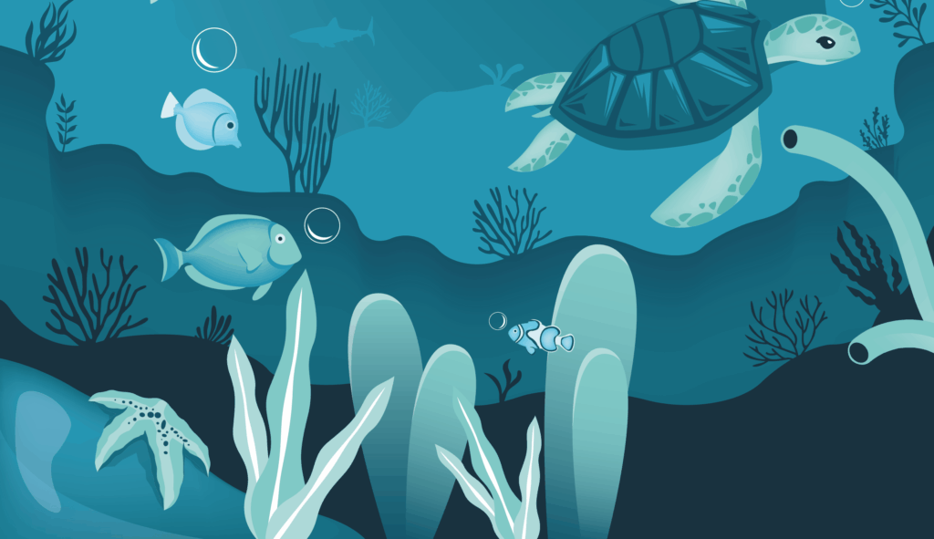 Ocean-Based Climate Solutions